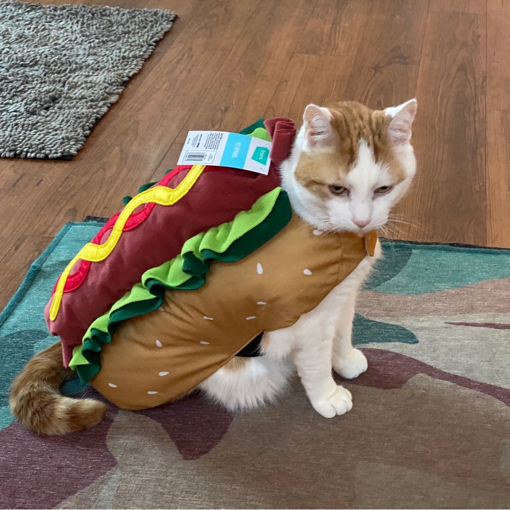 Dog/cat Hot Dog Costume